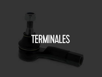 Terminales